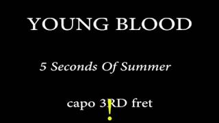 YOUNG BLOOD 5 Seconds Of Summer Easy Chords and Lyrics (3rd Fret)