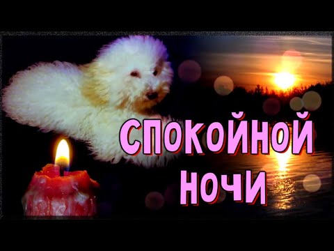 Доброй Ночи Сладких Снов 🌙⭐ Пусть приснятся приятные сны 🌙⭐ Красивое пожелание спокойной ночи))
