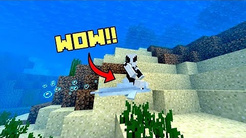 How To Ride Dolphins In Minecraft Bedrock Edition!!!