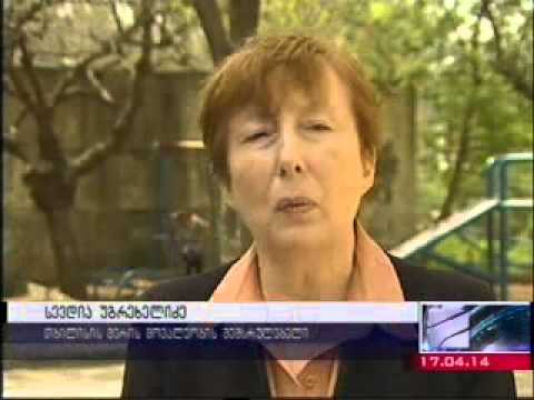 სევდია უგრეხელიძე საკრებულოს მიმართავს