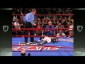 Boxing Knockouts Collection 5