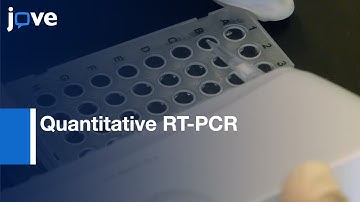 Profiling Individual Human Embryonic Stem Cells By Quantitative RT-PCR l Protocol Preview