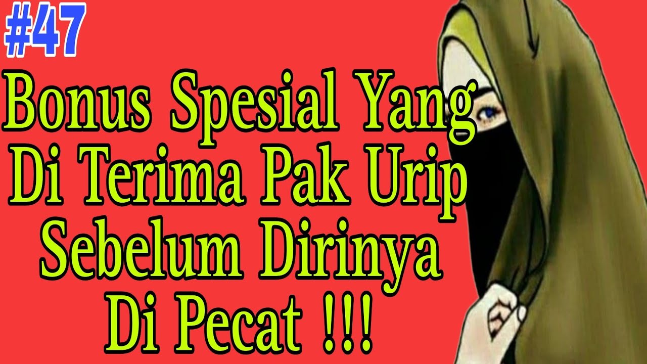 Cerbung Kisah Nayla Wanita Bercadar Eps 47 - Alur Cerita
