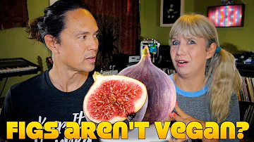 Proč jsou fíky sušené?