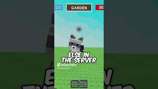 What Happens When Your Raccoon Steals Something And There Is No One Else In The Server?