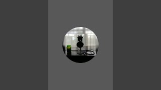 Tanchjim Zero Ultima - Small Gem, Small Price - Livestream Review - Honest Audiophile Impressions