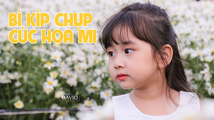 Cách chụp ảnh với cúc hoạ mi