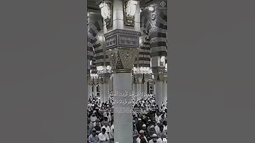 سورة الاحقاف || #اكسبلور #لايك #قرآن #قران_كريم #تلاوة_خاشعة