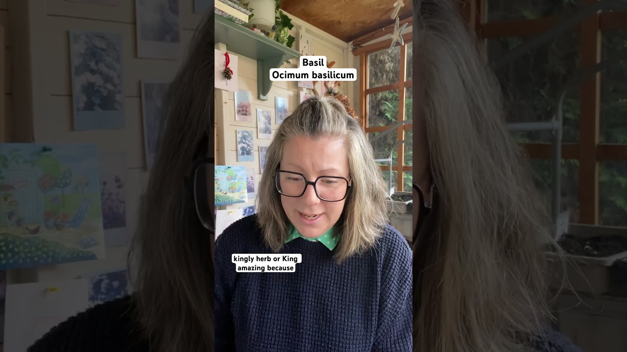 This is how to remember the botanical name for basil! 