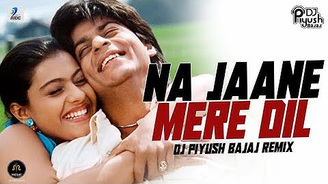 Na Jaane Mere Dil Ko Kya (Remix) DJ Piyush Bajaj  Shahrukh Khan  Kajol (DDLJ)