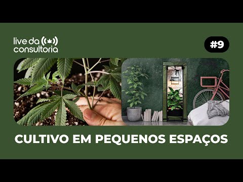 Cultivar Maconha em Pequenos Espaços: 40x40 60x60 80x80 PC Grower e Mais! - Live da Consultoria #9
