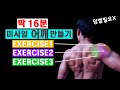 Lv.4.5 딱 16분! 집에서 미사일 어깨 만드는 루틴 ! (덤벨필요x) [16mins  Home Shoulder Workout]