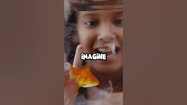 Do Goldfish Really Have a 3-Second Memory The Truth Revealed!