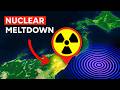 Fukushima Nuclear Disaster: What Really Happened