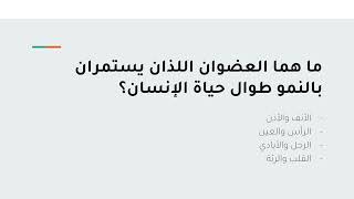 ما هما العضوان اللذان يستمران بالنمو طوال حياة الإنسان؟