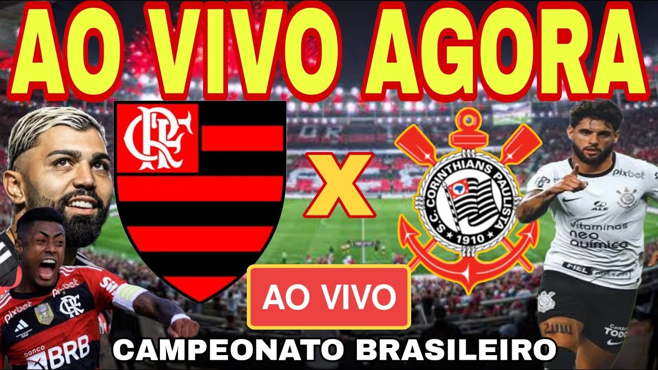 Campeonato Brasileiro Série A 2024 Com Imagens Ao Vivo Flamengo x