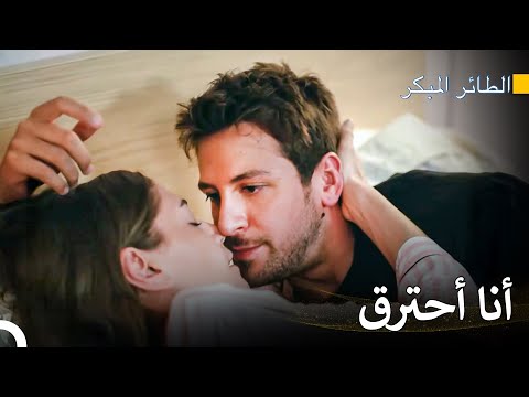 لحظات ليلى وإيمره الساخنة سلسل الطائر المبكر
