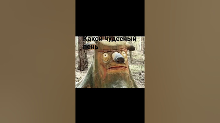 какой чудесный день какой чудесный пень