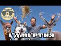 &quot;Удмуртия&quot; | 3 рассвета 3 заката #5