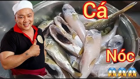 Hướng dẫn cách làm món cá nóc kho sả ớt siêu cay ngon nhất