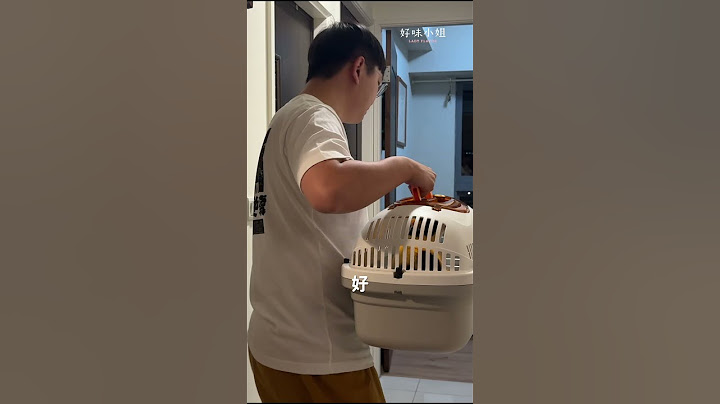 再見了小貓咪！  #cat #好味小姐