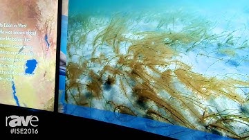 ISE 2016: MediaScreen Discusses Multitouch Screen