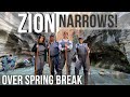 Zion National Park- Is Spring Break a Good Time to Go?