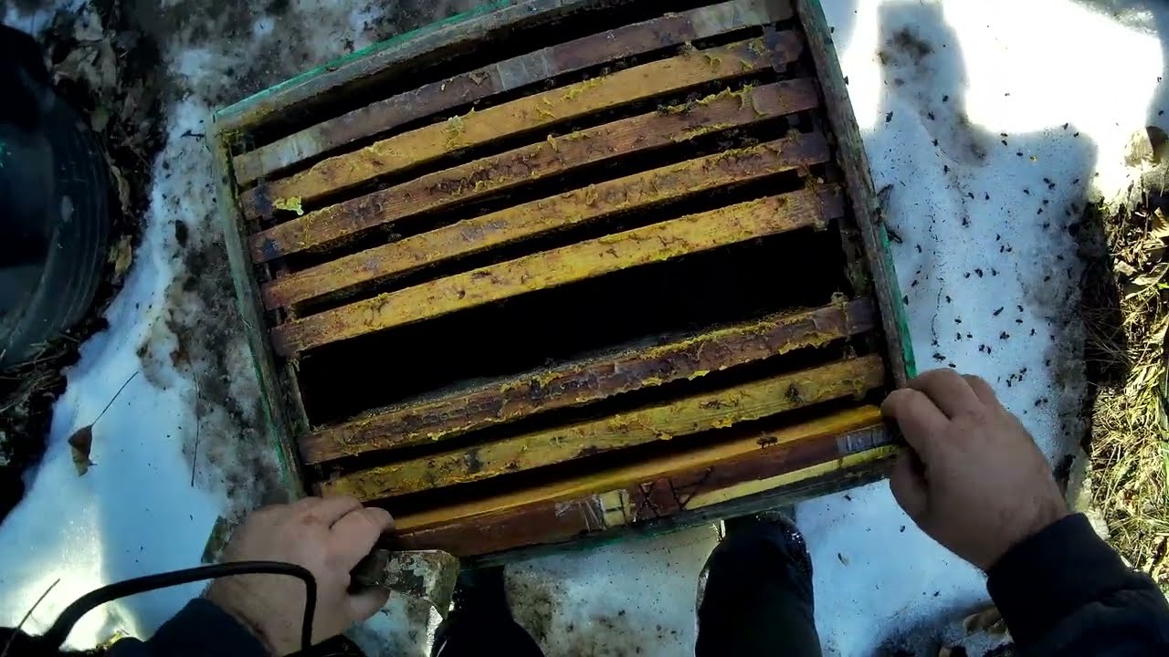 Первые весенние работы на пасеке, февраль-март! Чистка, Обжиг, Сокращение