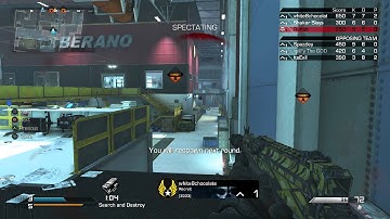 Please Infinity Ward nerf the bizon