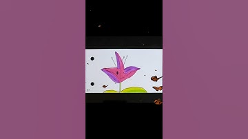 The flower (flipbook idea for kids)