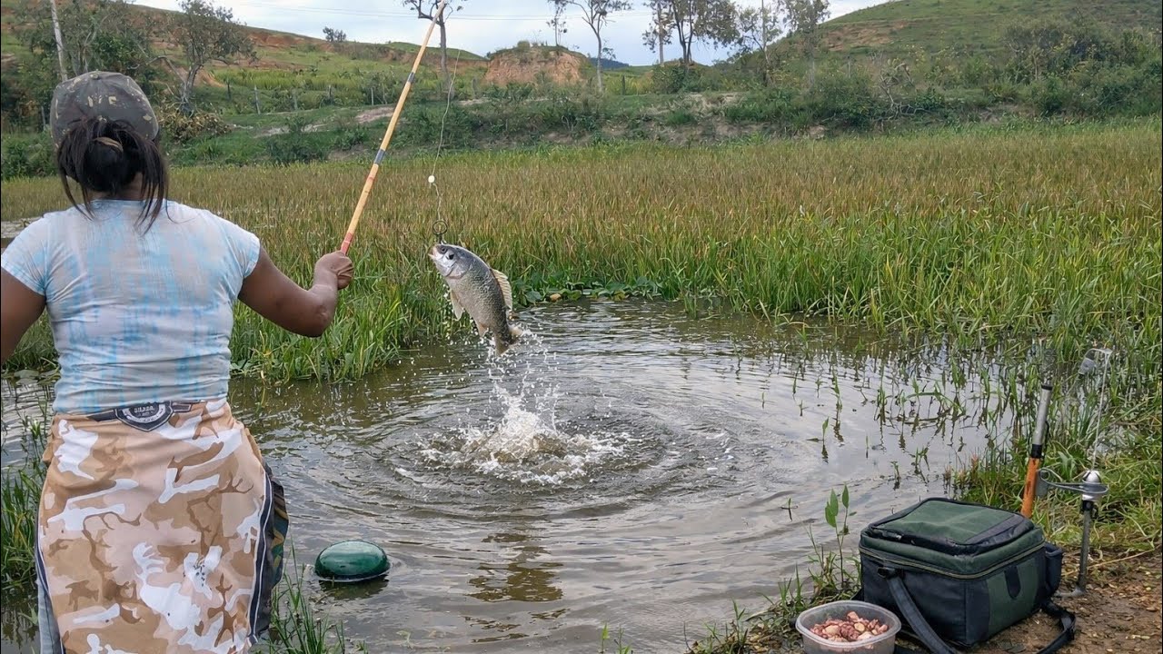 Pescaria impressionante lago no pasto de boi cheio de peixe #pesca #pescaria 
