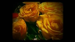 Flowers of my Mom - iSupr8 app screenshot 4