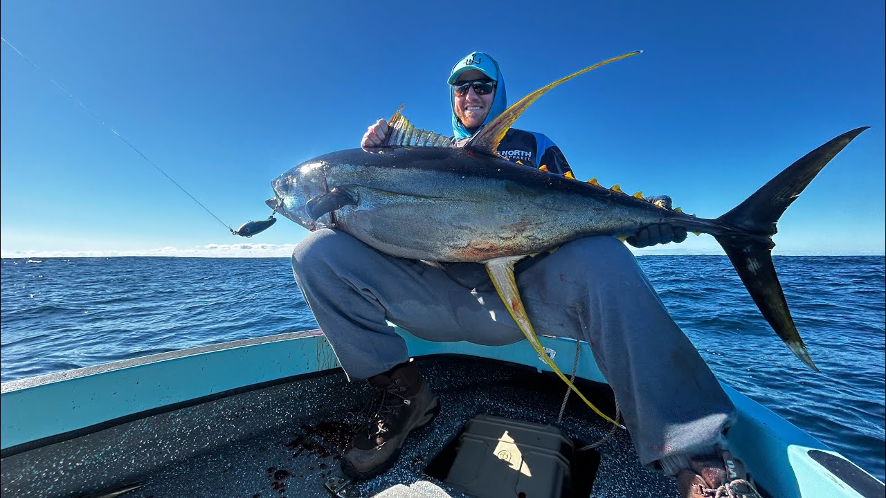 ОГРОМНЫЙ ЖЕЛТОПЕРЫЙ ТУНЕЦ В МОЕМ 4-МЕТРОВОМ КОРАБЛЕ HAINES SEAWASP - NAROOMA, NSW