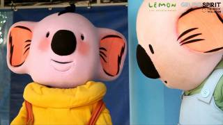 Irmos Koala Na Vista Alegre