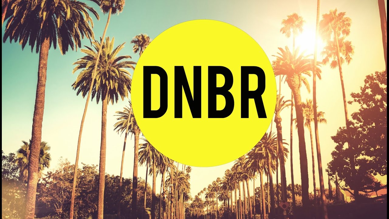 Lailah Reich - Within Earshot (Ft. Lailah Reich)