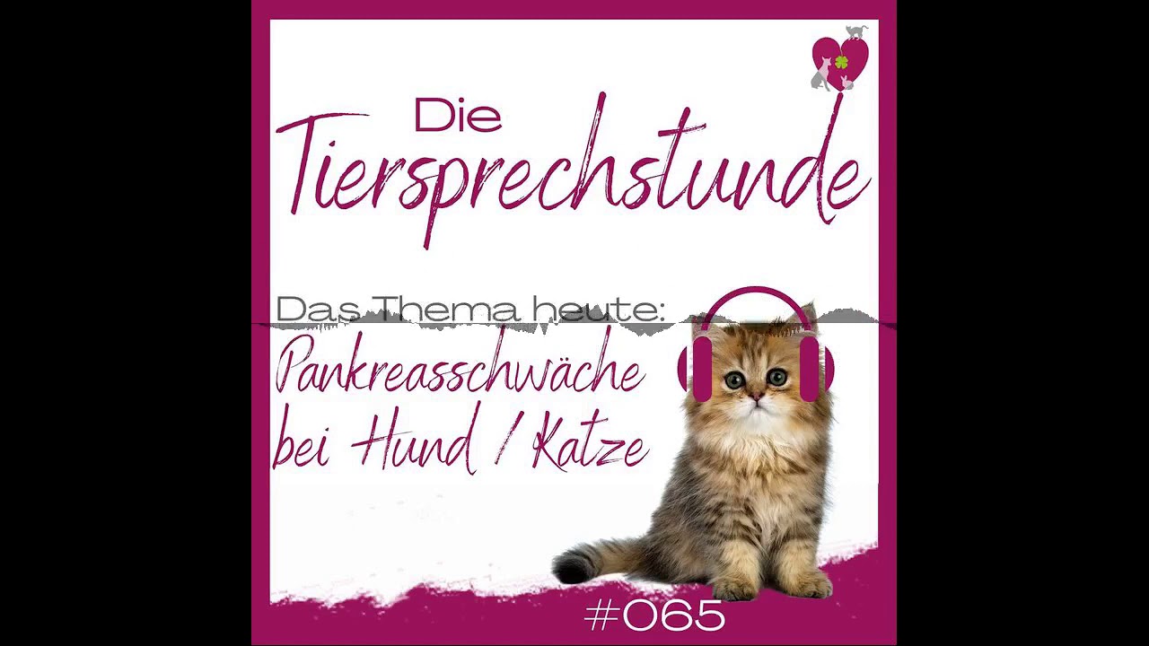 AV065: Pankreasschwäche bei Hund und Katz - Die Tiersprechstunde