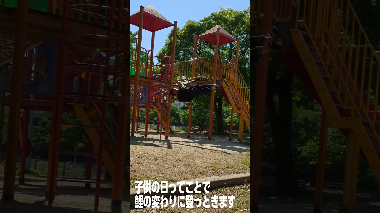今日はこどもの日!!鯉の変わりに登っときます #こどもの日 #humanflag #training