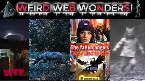 weird web wonders vol 68