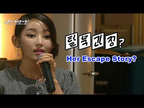 Park Yeon Mi, Cunning Witch Using Deceptive Tears [DPRK Report | English]