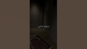 تَبَّتْ يَدَا أَبِي لَهَبٍ وَتَبَّ|سورة المسد|القارئ ماهر المعيقلي.