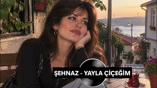 Şehnaz - Yayla Çiçeğim گل ییلاق زهرة البراري