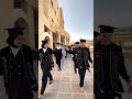 احلى صور التخرج من الجامعة
