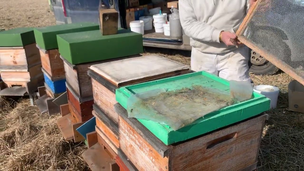 23/25 Uteplení a vypouštění matek tzv. Beze slov  24.2.25