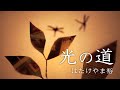 光の道 (animation) 〜はたけやま裕