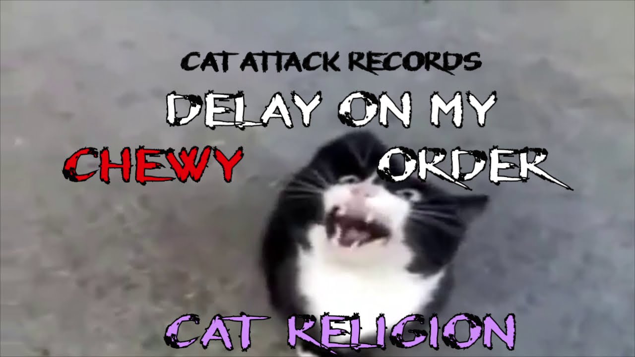 "Delay on My Chewy Order" (Parody of "Delirium of Disorder" by Bad