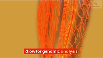 Glow for genomic analysis