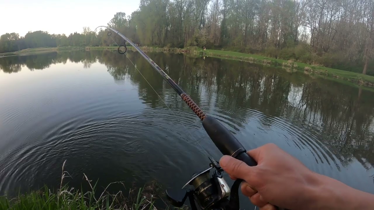 Fishing for Trophy Trout at Trojan Lake Oregon