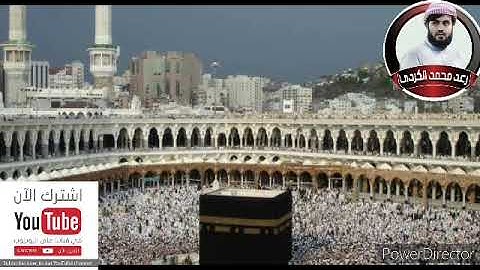 سورة العلق بصوت القارئ رعد محمد الكردي.