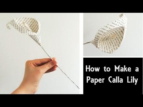 Vidéo: Comment Faire Des Lys Calla En Papier Ondulé