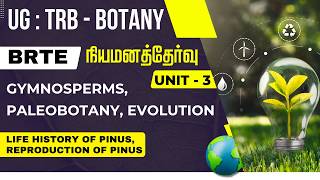 UG : TRB - BOTANY - நியமனத்தேர்வு - UNIT - 3 - LIFE HISTORY OF PINUS, REPRODUCTION OF PINUS